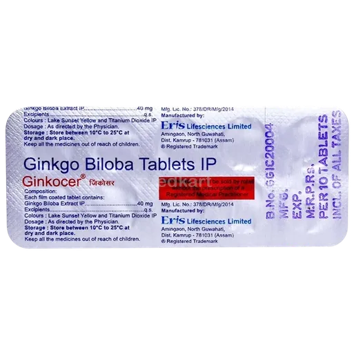 ginkocer 40mg tablet 10's